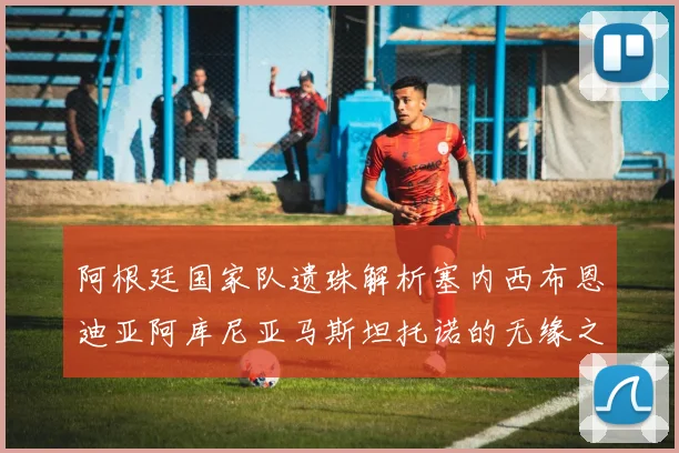 阿根廷国家队遗珠解析塞内西布恩迪亚阿库尼亚马斯坦托诺的无缘之路